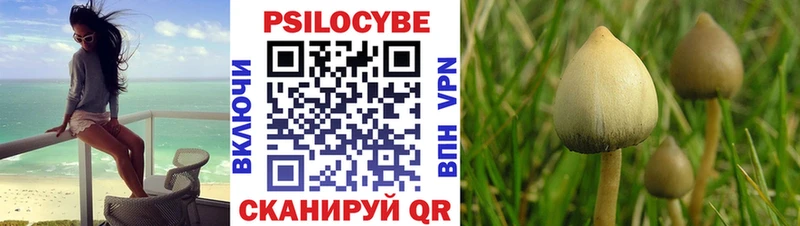 где купить наркоту  Кировск  Псилоцибиновые грибы Magic Shrooms 