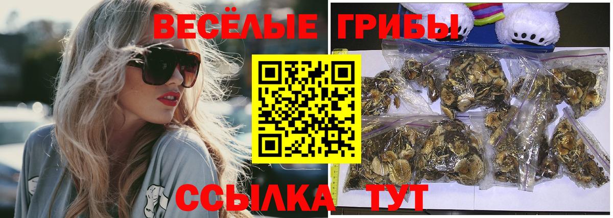 Галлюциногенные грибы мухоморы Кировск
